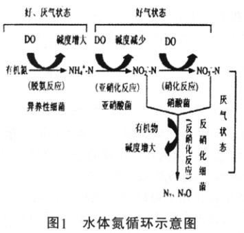 国产女人高潮毛片