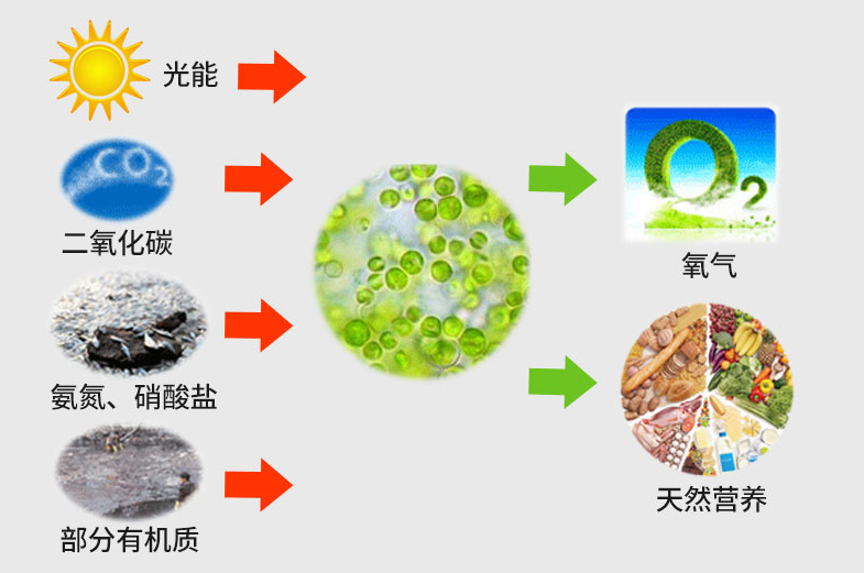 国产女人高潮毛片