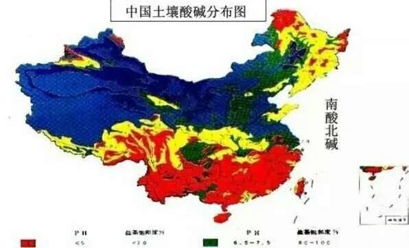 国产女人高潮毛片