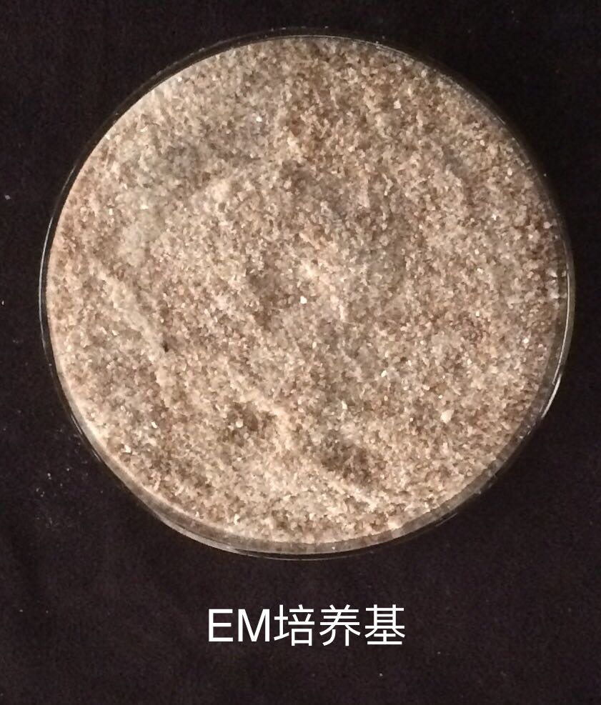 EM培养基